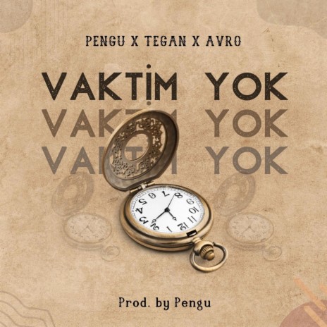 Vaktim Yok ft. Avro.412 & Tegan | Boomplay Music