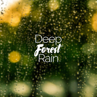 Deep Forest Rain