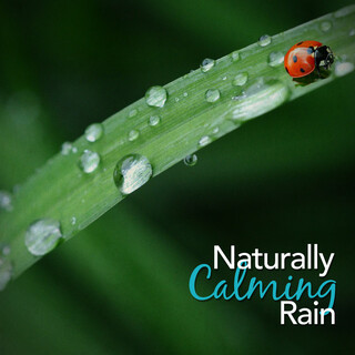 Naturally Calming Rain