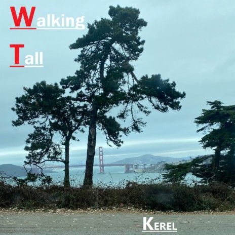 Walking Tall | Boomplay Music