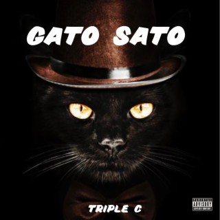 Gato Sato