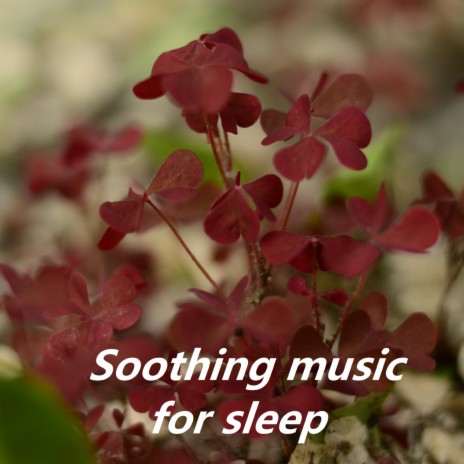 Relaxing sounds | Boomplay Music