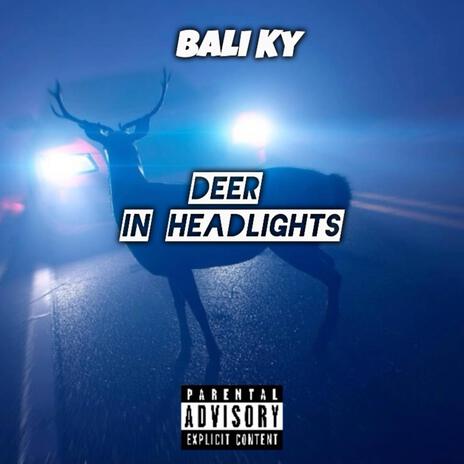 Deer In Headlights | Boomplay Music