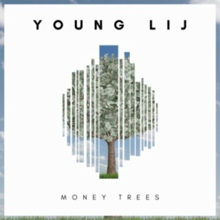 Money Trees