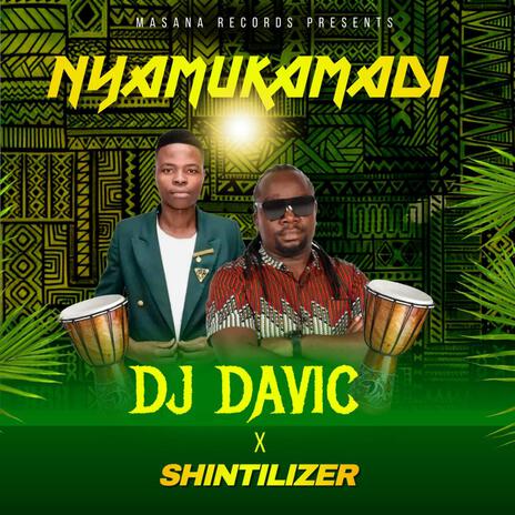 Nyamukamadi ft. Shintilizer | Boomplay Music