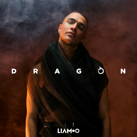 Dragon | Boomplay Music