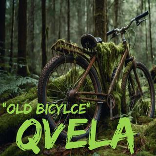 Old Bicycle