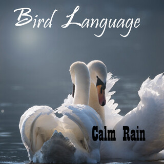 Bird Language