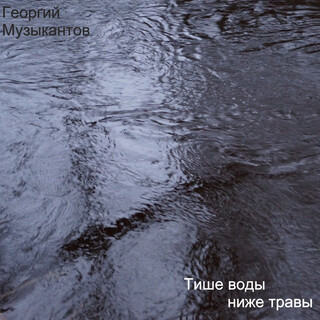 Тише воды ниже травы