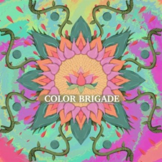 Color Brigade