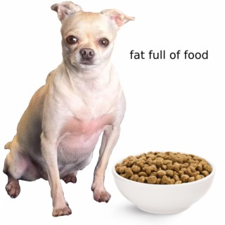 fat full of food