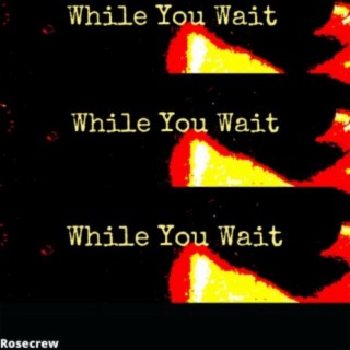 While You Wait