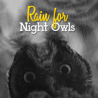 Rain for Night Owls