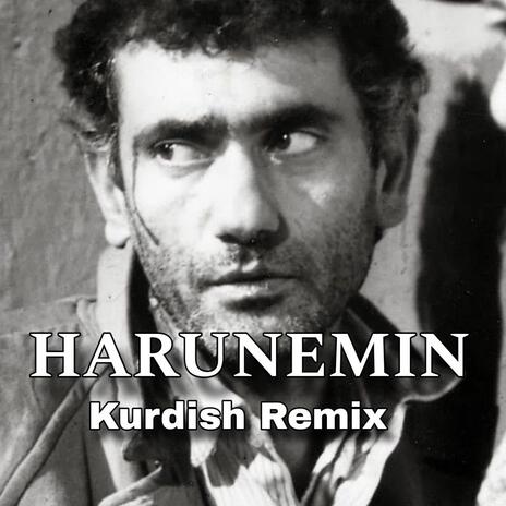 Kurdish _ Harunemın _ | Boomplay Music