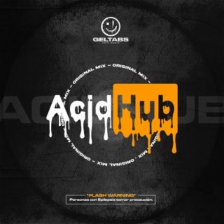 DJ RANDOM ACID HUB (Original-Mix)