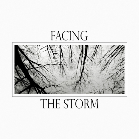 Facing the Storm | Boomplay Music