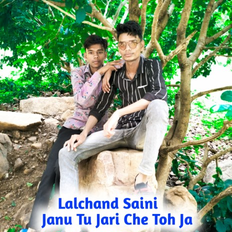 Janu Tu Jari Che Toh Ja (Hindi) | Boomplay Music