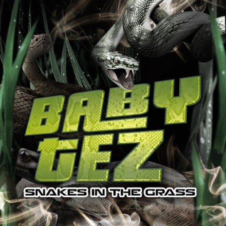 Snakes in the Grass | Boomplay Music