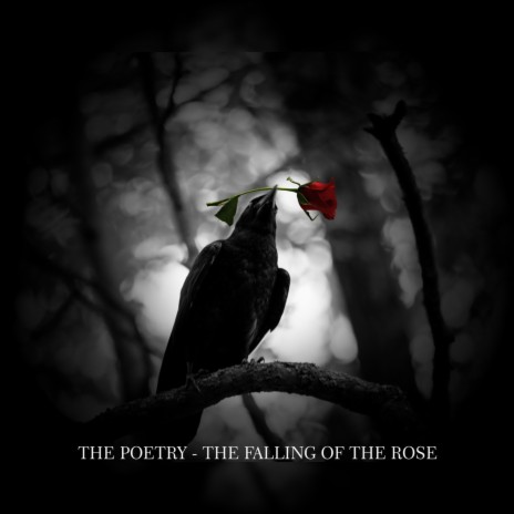 The Falling of the Rose | Boomplay Music