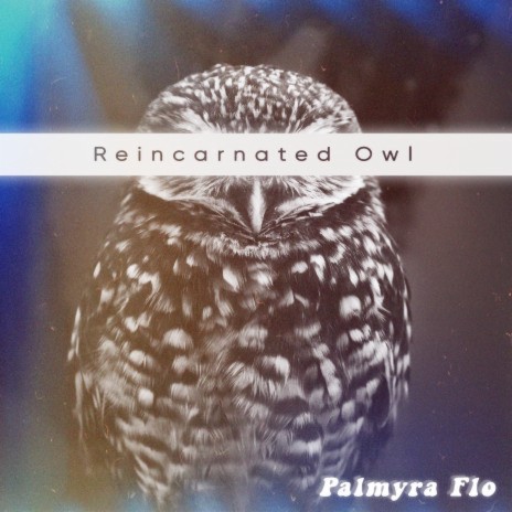 Reincarnated Owl | Boomplay Music