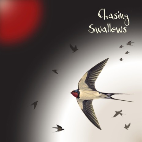 Chasing Swallows | Boomplay Music