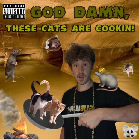 God Damn, These Cats Are Cookin!