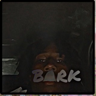 bark lyrics | Boomplay Music