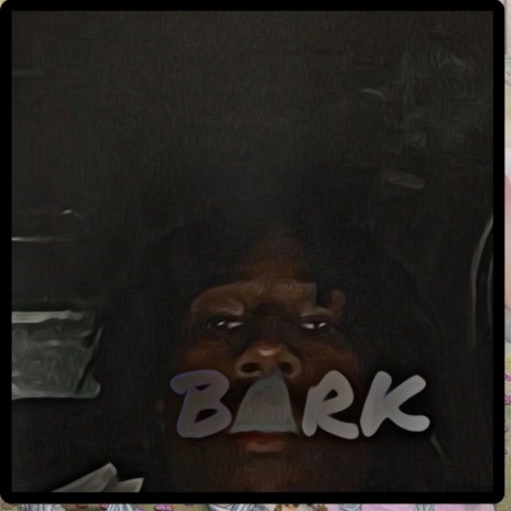 bark | Boomplay Music