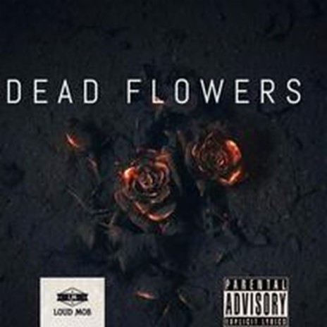 Dead Rose | Boomplay Music