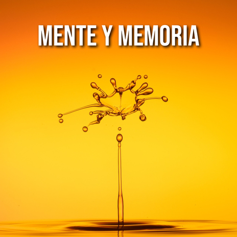 Productividad en la Memoria