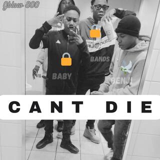 Can't Die