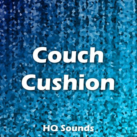 Couch Cushion