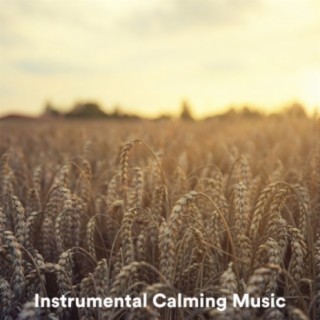 Instrumental Calming Music