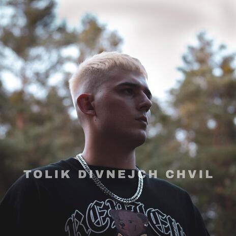 Tolik divnejch chvil | Boomplay Music