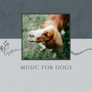 Music For Dogs