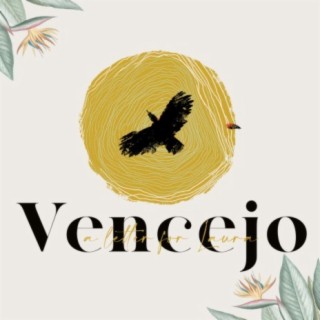 Vencejo (a letter for Laura)