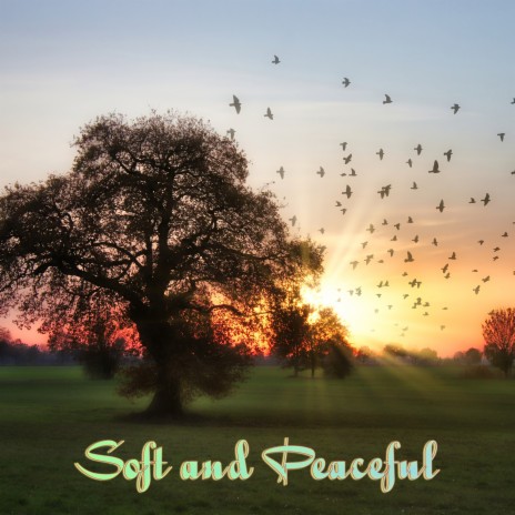 Peace of Mind ft. Deep Sleep Meditation & Deep Sleep Music Experience