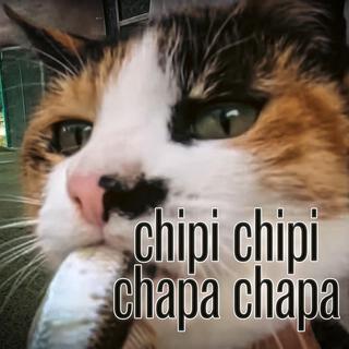 chipi chipi chapa chapa