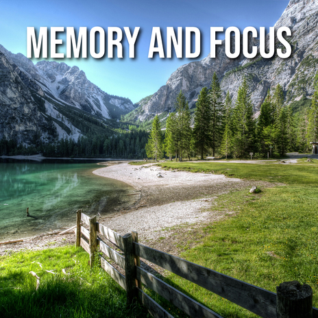 Cognitive Focus Mastery | Boomplay Music