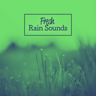 Fresh Rain Sounds