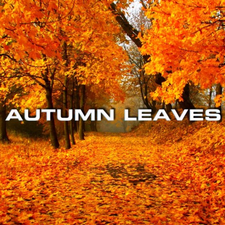 Autumn Leaves Sounds ft. Soundscapes of Nature, The Nature Sound, Calm, White Noise Therapy & White Noise Sound