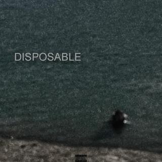 DISPOSABLE