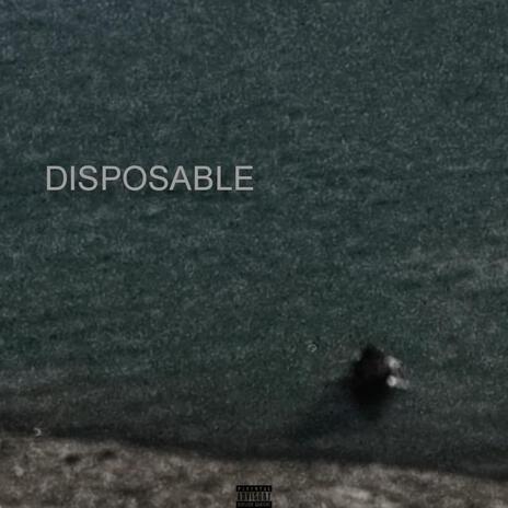 DISPOSABLE | Boomplay Music