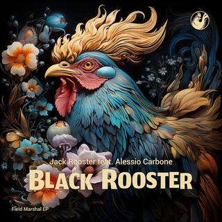 Black Rooster