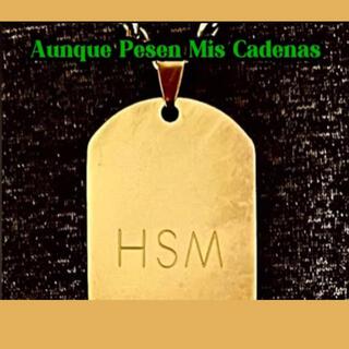 Aunque Pesen Mis Cadenas lyrics | Boomplay Music