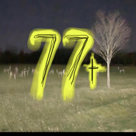 77t