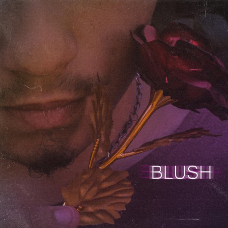 Blush | Boomplay Music