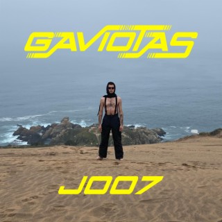 GAVIOTAS lyrics | Boomplay Music