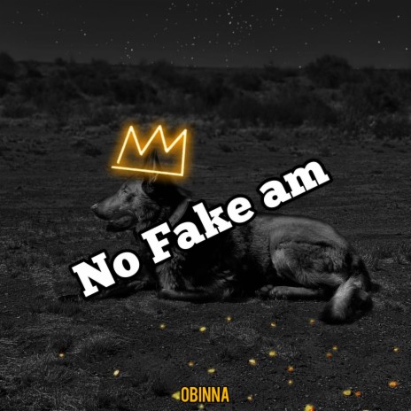 No Fake Am | Boomplay Music