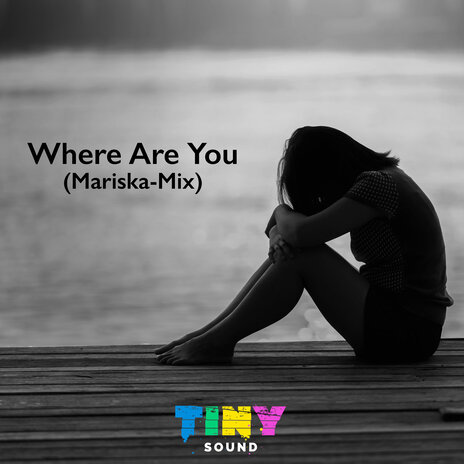 Where Are You (Instrumental Mariska-Mix) | Boomplay Music